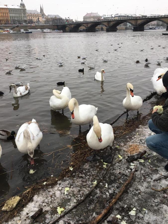 Apartment Vltava 프라하 외부 사진